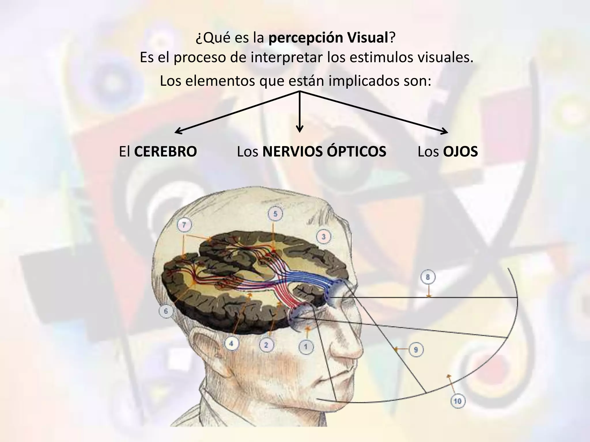 ¿Qué es la percepción Visual? 
Es el proceso de interpretar los estimulos visuales. 
Los elementos que están implicados son: 
El CEREBRO Los NERVIOS ÓPTICOS Los OJOS 
 