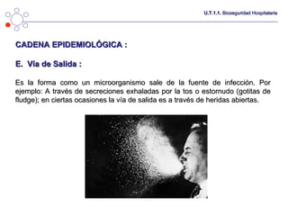Bioseguridad Hospitalaria | PPT