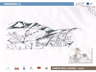 PAESAGGI (3)




               AMBITO DELLA CALDERA - Latera
 