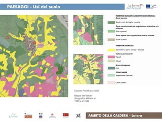 PAESAGGI - Usi del suolo




                           Catasto Pontificio (1820)

                           Mappe dell’Istituto
                           Geografico Militare al
                           1880 e al 1944




                                         AMBITO DELLA CALDERA - Latera
 