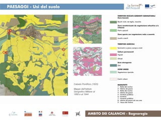 PAESAGGI - Usi del suolo




                           Catasto Pontificio (1820)

                           Mappe dell’Istituto
                           Geografico Militare al
                           1880 e al 1944




                                         AMBITO DEI CALANCHI - Bagnoregio
 