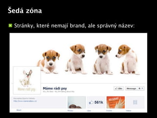 Šedá zóna

 Stránky, které nemají brand, ale správný název:




                         Text
 