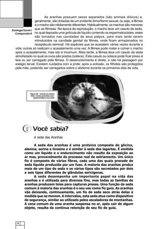 14
ZoologiaGerale
Comparada II
As aranhas possuem sexos separados (são animais dióicos) e,
geralmente, são dotadas de um evidente dimorfismo sexual, ou seja, a fêmea
e o macho são nitidamente diferentes. Habitualmente, os machos são menores
que as fêmeas. Na época da reprodução, o macho tece um casulo de seda,
no qual deposita uma gotícula de líquido contendo os espermatozóides; estes
são tomados nas cavidades de seus palpos, para mais tarde serem
introduzidos na cavidade genital da fêmea, onde ficam armazenados no
receptáculo seminal. Há espécies que se acasalam várias vezes durante a
vida; outras só realizam o acasalamento uma vez. A fêmea pode matar e comer o macho
após o acasalamento, mas isto é incomum. Mais tarde, a fêmea tece um casulo de seda
almofadado no qual os ovos são postos (ooteca). Este casulo ou ooteca pode ficar preso à
teia ou ser carregado pela fêmea. O desenvolvimento é direto, e não há passagem por
estágio larval. Existem cuidados com a prole; após a eclosão, os filhotes são protegidos
pela mãe, podendo ser carregados sobre o abdome durante os primeiros dias de vida.
A seda das Aranhas
A seda das aranhas é uma proteína composta de glicina,
alanina, serina e tirosina e é similar à seda das lagartas. É emitida
como um líquido e o endurecimento não resulta da exposição ao
ar mas, provavelmente do processo real de estriamento. Um único
fio é composto de várias fibras, cada uma das quais procede de
seda líquida produzida por um fuso. A maioria das aranhas produz
mais de um tipo de seda e os vários tipos são secretados por dois
a seis tipos diferentes de glândulas sericígenas.
A seda desempenha um importante papel na vida das
aranhas e é utilizada para diversos fins, mas todas as famílias de
aranhas produzem teias para capturas presas. Uma função da seda
comum à maioria das aranhas é o seu uso como fio guia. As aranhas
vão deixando, continuamente, um fio de seda seco atrás delas à
medida que se movem. A intervalos, esta seda atua como dispositivo
de segurança, similar ao utilizado pelos escaladores de montanhas.
A cena comum de uma aranha suspensa no ar, após cair de algum
objeto, resulta da contínua retenção de seu fio de guia.
Você sabia?
Figura 04 – Aranha na ooteca
http://www.geocities.com/
apotecionegro/arac.html
 
