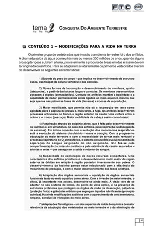 27
CONQUISTA DO AMBIENTE TERRESTRE
CONTEÚDO 1 – MODIFICAÇÕES PARA A VIDA NA TERRA
O primeiro grupo de vertebrados que invadiu o ambiente terrestre foi o dos anfíbios.
A chamada saída da água ocorreu há mais ou menos 350 milhões de anos, quando alguns
crossopterígeos subiram a terra, provavelmente a procura de áreas úmidas e assim devem
ter originado os anfíbios. Para se adaptarem à vida terrestre os primeiros vertebrados tiveram
de desenvolver as seguintes características:123456789012345678901234567890121234567890123456789012345678901212345678901234567890123456789012123456789012345678901234567890121
123456789012345678901234567890121234567890123456789012345678901212345678901234567890123456789012123456789012345678901234567890121
123456789012345678901234567890121234567890123456789012345678901212345678901234567890123456789012123456789012345678901234567890121
123456789012345678901234567890121234567890123456789012345678901212345678901234567890123456789012123456789012345678901234567890121
123456789012345678901234567890121234567890123456789012345678901212345678901234567890123456789012123456789012345678901234567890121
123456789012345678901234567890121234567890123456789012345678901212345678901234567890123456789012123456789012345678901234567890121
123456789012345678901234567890121234567890123456789012345678901212345678901234567890123456789012123456789012345678901234567890121
123456789012345678901234567890121234567890123456789012345678901212345678901234567890123456789012123456789012345678901234567890121
123456789012345678901234567890121234567890123456789012345678901212345678901234567890123456789012123456789012345678901234567890121
123456789012345678901234567890121234567890123456789012345678901212345678901234567890123456789012123456789012345678901234567890121
123456789012345678901234567890121234567890123456789012345678901212345678901234567890123456789012123456789012345678901234567890121
123456789012345678901234567890121234567890123456789012345678901212345678901234567890123456789012123456789012345678901234567890121
123456789012345678901234567890121234567890123456789012345678901212345678901234567890123456789012123456789012345678901234567890121
123456789012345678901234567890121234567890123456789012345678901212345678901234567890123456789012123456789012345678901234567890121
123456789012345678901234567890121234567890123456789012345678901212345678901234567890123456789012123456789012345678901234567890121
123456789012345678901234567890121234567890123456789012345678901212345678901234567890123456789012123456789012345678901234567890121
123456789012345678901234567890121234567890123456789012345678901212345678901234567890123456789012123456789012345678901234567890121
123456789012345678901234567890121234567890123456789012345678901212345678901234567890123456789012123456789012345678901234567890121
123456789012345678901234567890121234567890123456789012345678901212345678901234567890123456789012123456789012345678901234567890121
123456789012345678901234567890121234567890123456789012345678901212345678901234567890123456789012123456789012345678901234567890121
123456789012345678901234567890121234567890123456789012345678901212345678901234567890123456789012123456789012345678901234567890121
123456789012345678901234567890121234567890123456789012345678901212345678901234567890123456789012123456789012345678901234567890121
123456789012345678901234567890121234567890123456789012345678901212345678901234567890123456789012123456789012345678901234567890121
123456789012345678901234567890121234567890123456789012345678901212345678901234567890123456789012123456789012345678901234567890121
123456789012345678901234567890121234567890123456789012345678901212345678901234567890123456789012123456789012345678901234567890121
123456789012345678901234567890121234567890123456789012345678901212345678901234567890123456789012123456789012345678901234567890121
123456789012345678901234567890121234567890123456789012345678901212345678901234567890123456789012123456789012345678901234567890121
123456789012345678901234567890121234567890123456789012345678901212345678901234567890123456789012123456789012345678901234567890121
123456789012345678901234567890121234567890123456789012345678901212345678901234567890123456789012123456789012345678901234567890121
123456789012345678901234567890121234567890123456789012345678901212345678901234567890123456789012123456789012345678901234567890121
123456789012345678901234567890121234567890123456789012345678901212345678901234567890123456789012123456789012345678901234567890121
123456789012345678901234567890121234567890123456789012345678901212345678901234567890123456789012123456789012345678901234567890121
123456789012345678901234567890121234567890123456789012345678901212345678901234567890123456789012123456789012345678901234567890121
123456789012345678901234567890121234567890123456789012345678901212345678901234567890123456789012123456789012345678901234567890121
123456789012345678901234567890121234567890123456789012345678901212345678901234567890123456789012123456789012345678901234567890121
123456789012345678901234567890121234567890123456789012345678901212345678901234567890123456789012123456789012345678901234567890121
123456789012345678901234567890121234567890123456789012345678901212345678901234567890123456789012123456789012345678901234567890121
123456789012345678901234567890121234567890123456789012345678901212345678901234567890123456789012123456789012345678901234567890121
123456789012345678901234567890121234567890123456789012345678901212345678901234567890123456789012123456789012345678901234567890121
123456789012345678901234567890121234567890123456789012345678901212345678901234567890123456789012123456789012345678901234567890121
123456789012345678901234567890121234567890123456789012345678901212345678901234567890123456789012123456789012345678901234567890121
123456789012345678901234567890121234567890123456789012345678901212345678901234567890123456789012123456789012345678901234567890121
123456789012345678901234567890121234567890123456789012345678901212345678901234567890123456789012123456789012345678901234567890121
123456789012345678901234567890121234567890123456789012345678901212345678901234567890123456789012123456789012345678901234567890121
123456789012345678901234567890121234567890123456789012345678901212345678901234567890123456789012123456789012345678901234567890121
123456789012345678901234567890121234567890123456789012345678901212345678901234567890123456789012123456789012345678901234567890121
123456789012345678901234567890121234567890123456789012345678901212345678901234567890123456789012123456789012345678901234567890121
123456789012345678901234567890121234567890123456789012345678901212345678901234567890123456789012123456789012345678901234567890121
123456789012345678901234567890121234567890123456789012345678901212345678901234567890123456789012123456789012345678901234567890121
123456789012345678901234567890121234567890123456789012345678901212345678901234567890123456789012123456789012345678901234567890121
123456789012345678901234567890121234567890123456789012345678901212345678901234567890123456789012123456789012345678901234567890121
123456789012345678901234567890121234567890123456789012345678901212345678901234567890123456789012123456789012345678901234567890121
123456789012345678901234567890121234567890123456789012345678901212345678901234567890123456789012123456789012345678901234567890121
123456789012345678901234567890121234567890123456789012345678901212345678901234567890123456789012123456789012345678901234567890121
123456789012345678901234567890121234567890123456789012345678901212345678901234567890123456789012123456789012345678901234567890121
123456789012345678901234567890121234567890123456789012345678901212345678901234567890123456789012123456789012345678901234567890121
123456789012345678901234567890121234567890123456789012345678901212345678901234567890123456789012123456789012345678901234567890121
123456789012345678901234567890121234567890123456789012345678901212345678901234567890123456789012123456789012345678901234567890121
123456789012345678901234567890121234567890123456789012345678901212345678901234567890123456789012123456789012345678901234567890121
123456789012345678901234567890121234567890123456789012345678901212345678901234567890123456789012123456789012345678901234567890121
123456789012345678901234567890121234567890123456789012345678901212345678901234567890123456789012123456789012345678901234567890121
123456789012345678901234567890121234567890123456789012345678901212345678901234567890123456789012123456789012345678901234567890121
123456789012345678901234567890121234567890123456789012345678901212345678901234567890123456789012123456789012345678901234567890121
123456789012345678901234567890121234567890123456789012345678901212345678901234567890123456789012123456789012345678901234567890121
123456789012345678901234567890121234567890123456789012345678901212345678901234567890123456789012123456789012345678901234567890121
123456789012345678901234567890121234567890123456789012345678901212345678901234567890123456789012123456789012345678901234567890121
123456789012345678901234567890121234567890123456789012345678901212345678901234567890123456789012123456789012345678901234567890121
123456789012345678901234567890121234567890123456789012345678901212345678901234567890123456789012123456789012345678901234567890121
123456789012345678901234567890121234567890123456789012345678901212345678901234567890123456789012123456789012345678901234567890121
123456789012345678901234567890121234567890123456789012345678901212345678901234567890123456789012123456789012345678901234567890121
123456789012345678901234567890121234567890123456789012345678901212345678901234567890123456789012123456789012345678901234567890121
123456789012345678901234567890121234567890123456789012345678901212345678901234567890123456789012123456789012345678901234567890121
123456789012345678901234567890121234567890123456789012345678901212345678901234567890123456789012123456789012345678901234567890121
123456789012345678901234567890121234567890123456789012345678901212345678901234567890123456789012123456789012345678901234567890121
123456789012345678901234567890121234567890123456789012345678901212345678901234567890123456789012123456789012345678901234567890121123456789012345678901234567890121234567890123456789012345678901212345678901234567890123456789012123456789012345678901234567890121
123456789012345678901234567890121234567890123456789012345678901212345678901234567890123456789012123456789012345678901234567890121
123456789012345678901234567890121234567890123456789012345678901212345678901234567890123456789012123456789012345678901234567890121
123456789012345678901234567890121234567890123456789012345678901212345678901234567890123456789012123456789012345678901234567890121
123456789012345678901234567890121234567890123456789012345678901212345678901234567890123456789012123456789012345678901234567890121
123456789012345678901234567890121234567890123456789012345678901212345678901234567890123456789012123456789012345678901234567890121
123456789012345678901234567890121234567890123456789012345678901212345678901234567890123456789012123456789012345678901234567890121123456789012345678901234567890121234567890123456789012345678901212345678901234567890123456789012123456789012345678901234567890121
123456789012345678901234567890121234567890123456789012345678901212345678901234567890123456789012123456789012345678901234567890121123456789012345678901234567890121234567890123456789012345678901212345678901234567890123456789012123456789012345678901234567890121
123456789012345678901234567890121234567890123456789012345678901212345678901234567890123456789012123456789012345678901234567890121
123456789012345678901234567890121234567890123456789012345678901212345678901234567890123456789012123456789012345678901234567890121
123456789012345678901234567890121234567890123456789012345678901212345678901234567890123456789012123456789012345678901234567890121
123456789012345678901234567890121234567890123456789012345678901212345678901234567890123456789012123456789012345678901234567890121
123456789012345678901234567890121234567890123456789012345678901212345678901234567890123456789012123456789012345678901234567890121
123456789012345678901234567890121234567890123456789012345678901212345678901234567890123456789012123456789012345678901234567890121123456789012345678901234567890121234567890123456789012345678901212345678901234567890123456789012123456789012345678901234567890121
123456789012345678901234567890121234567890123456789012345678901212345678901234567890123456789012123456789012345678901234567890121123456789012345678901234567890121234567890123456789012345678901212345678901234567890123456789012123456789012345678901234567890121
123456789012345678901234567890121234567890123456789012345678901212345678901234567890123456789012123456789012345678901234567890121
123456789012345678901234567890121234567890123456789012345678901212345678901234567890123456789012123456789012345678901234567890121
123456789012345678901234567890121234567890123456789012345678901212345678901234567890123456789012123456789012345678901234567890121
123456789012345678901234567890121234567890123456789012345678901212345678901234567890123456789012123456789012345678901234567890121123456789012345678901234567890121234567890123456789012345678901212345678901234567890123456789012123456789012345678901234567890121
123456789012345678901234567890121234567890123456789012345678901212345678901234567890123456789012123456789012345678901234567890121
123456789012345678901234567890121234567890123456789012345678901212345678901234567890123456789012123456789012345678901234567890121
123456789012345678901234567890121234567890123456789012345678901212345678901234567890123456789012123456789012345678901234567890121
123456789012345678901234567890121234567890123456789012345678901212345678901234567890123456789012123456789012345678901234567890121
123456789012345678901234567890121234567890123456789012345678901212345678901234567890123456789012123456789012345678901234567890121
123456789012345678901234567890121234567890123456789012345678901212345678901234567890123456789012123456789012345678901234567890121
123456789012345678901234567890121234567890123456789012345678901212345678901234567890123456789012123456789012345678901234567890121
123456789012345678901234567890121234567890123456789012345678901212345678901234567890123456789012123456789012345678901234567890121123456789012345678901234567890121234567890123456789012345678901212345678901234567890123456789012123456789012345678901234567890121
123456789012345678901234567890121234567890123456789012345678901212345678901234567890123456789012123456789012345678901234567890121
123456789012345678901234567890121234567890123456789012345678901212345678901234567890123456789012123456789012345678901234567890121
123456789012345678901234567890121234567890123456789012345678901212345678901234567890123456789012123456789012345678901234567890121
123456789012345678901234567890121234567890123456789012345678901212345678901234567890123456789012123456789012345678901234567890121
123456789012345678901234567890121234567890123456789012345678901212345678901234567890123456789012123456789012345678901234567890121
123456789012345678901234567890121234567890123456789012345678901212345678901234567890123456789012123456789012345678901234567890121123456789012345678901234567890121234567890123456789012345678901212345678901234567890123456789012123456789012345678901234567890121
123456789012345678901234567890121234567890123456789012345678901212345678901234567890123456789012123456789012345678901234567890121123456789012345678901234567890121234567890123456789012345678901212345678901234567890123456789012123456789012345678901234567890121
123456789012345678901234567890121234567890123456789012345678901212345678901234567890123456789012123456789012345678901234567890121
123456789012345678901234567890121234567890123456789012345678901212345678901234567890123456789012123456789012345678901234567890121
123456789012345678901234567890121234567890123456789012345678901212345678901234567890123456789012123456789012345678901234567890121
123456789012345678901234567890121234567890123456789012345678901212345678901234567890123456789012123456789012345678901234567890121
123456789012345678901234567890121234567890123456789012345678901212345678901234567890123456789012123456789012345678901234567890121
123456789012345678901234567890121234567890123456789012345678901212345678901234567890123456789012123456789012345678901234567890121
123456789012345678901234567890121234567890123456789012345678901212345678901234567890123456789012123456789012345678901234567890121
123456789012345678901234567890121234567890123456789012345678901212345678901234567890123456789012123456789012345678901234567890121123456789012345678901234567890121234567890123456789012345678901212345678901234567890123456789012123456789012345678901234567890121
123456789012345678901234567890121234567890123456789012345678901212345678901234567890123456789012123456789012345678901234567890121
123456789012345678901234567890121234567890123456789012345678901212345678901234567890123456789012123456789012345678901234567890121
123456789012345678901234567890121234567890123456789012345678901212345678901234567890123456789012123456789012345678901234567890121
123456789012345678901234567890121234567890123456789012345678901212345678901234567890123456789012123456789012345678901234567890121
123456789012345678901234567890121234567890123456789012345678901212345678901234567890123456789012123456789012345678901234567890121
123456789012345678901234567890121234567890123456789012345678901212345678901234567890123456789012123456789012345678901234567890121
123456789012345678901234567890121234567890123456789012345678901212345678901234567890123456789012123456789012345678901234567890121
123456789012345678901234567890121234567890123456789012345678901212345678901234567890123456789012123456789012345678901234567890121123456789012345678901234567890121234567890123456789012345678901212345678901234567890123456789012123456789012345678901234567890121
123456789012345678901234567890121234567890123456789012345678901212345678901234567890123456789012123456789012345678901234567890121
123456789012345678901234567890121234567890123456789012345678901212345678901234567890123456789012123456789012345678901234567890121
123456789012345678901234567890121234567890123456789012345678901212345678901234567890123456789012123456789012345678901234567890121
123456789012345678901234567890121234567890123456789012345678901212345678901234567890123456789012123456789012345678901234567890121123456789012345678901234567890121234567890123456789012345678901212345678901234567890123456789012123456789012345678901234567890121
123456789012345678901234567890121234567890123456789012345678901212345678901234567890123456789012123456789012345678901234567890121123456789012345678901234567890121234567890123456789012345678901212345678901234567890123456789012123456789012345678901234567890121
123456789012345678901234567890121234567890123456789012345678901212345678901234567890123456789012123456789012345678901234567890121
123456789012345678901234567890121234567890123456789012345678901212345678901234567890123456789012123456789012345678901234567890121
123456789012345678901234567890121234567890123456789012345678901212345678901234567890123456789012123456789012345678901234567890121
123456789012345678901234567890121234567890123456789012345678901212345678901234567890123456789012123456789012345678901234567890121
123456789012345678901234567890121234567890123456789012345678901212345678901234567890123456789012123456789012345678901234567890121
123456789012345678901234567890121234567890123456789012345678901212345678901234567890123456789012123456789012345678901234567890121
123456789012345678901234567890121234567890123456789012345678901212345678901234567890123456789012123456789012345678901234567890121
123456789012345678901234567890121234567890123456789012345678901212345678901234567890123456789012123456789012345678901234567890121123456789012345678901234567890121234567890123456789012345678901212345678901234567890123456789012123456789012345678901234567890121
123456789012345678901234567890121234567890123456789012345678901212345678901234567890123456789012123456789012345678901234567890121
123456789012345678901234567890121234567890123456789012345678901212345678901234567890123456789012123456789012345678901234567890121
123456789012345678901234567890121234567890123456789012345678901212345678901234567890123456789012123456789012345678901234567890121
1) Suporte do peso do corpo – que implica no desenvolvimento da estrutura
óssea, ossificação da coluna vertebral e das costelas.
2) Novas formas de locomoção – desenvolvimento de membros, quatro
(tetrápodes), a partir de barbatanas largas e carnudas. Os membros desenvolvidos
possuem 5 dígitos (pentadáctilos). Contudo os anfíbios mantêm a habilidade e a
capacidade de nadar, permanecendo ainda ligados ao meio aquático mesmo que
seja apenas nas primeiras fases de vida (larvares) e épocas de reprodução.
3) Maior mobilidade, que permita não só a locomoção em terra como
agilidade para a captura de presas e, mais tarde, a fuga. Os anfíbios desenvolvem
processos articulares no tronco e região anterior da cauda. Uma cintura entre o
crânio e o tronco (pescoço). Maior mobilidade da cabeça assim como lateral.
4) Respiração através do oxigênio aéreo, que é feita pelo desenvolvimento
de pulmões e, em simultâneo, no caso dos anfíbios, pela respiração cutânea (perda
de escamas). Em íntima conexão com a evolução dos mecanismos respiratórios
está a evolução do sistema circulatório - vasos e coração. Com a progressiva
adaptação ao meio terrestre e com a necessidade de tornar mais rentável o
processo respiratório do O2
atmosférico, o sistema circulatório evolui no sentido da
separação do sangue oxigenado do não oxigenado. Isto faz-se pela
compartimentação do músculo cardíaco e pela existência de canais separados –
artérias e veias – que asseguram a saída e retorno do sangue.
5) Capacidade de exploração de novos recursos alimentares. Uma
característica dos anfíbios primitivos é o desenvolvimento muito maior da região
anterior às órbitas em relação à região posterior inversamente aos peixes. O
desenvolvimento do focinho parece estar relacionado com a eficiência do
mecanismo de predação, e com o maior desenvolvimento dos lobos olfativos.
6) Adaptação dos órgãos sensoriais – aquisição de órgãos sensoriais
funcionais tanto no meio aquático como aéreo. Com a invasão do meio terrestre, o
olfato, já importante nos peixes, desenvolve-se ainda mais. A visão teve de se
adaptar no seu sistema de lentes, do ponto de vista óptico, e na presença de
estruturas protetoras que protegem os órgãos da visão da dissecação, pálpebras
(proteção física) e glândulas orbitais que segregam líquidos lubrificantes (proteção
química). Há ainda modificações auditivas com o aparecimento de uma membrana,
tímpano, sensível às vibrações do meio aéreo.
7) Adaptações Fisiológicas – um dos aspectos de índole bioquímica de maior
relevância da adaptação dos vertebrados ao meio terrestre é o da eliminação de
 