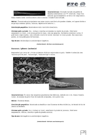 41
(Instituto Butantã – São Paulo. www.butantan.gov.br)
(Instituto Butantã – São Paulo. www.butantan.gov.br)
Características: Coloração variada com padrão de
desenhos semelhantes a um “V” invertido. Corpo fino
medindo aproximadamente um metro de comprimento.
Possuifossetaloreal(orifícioentreoolhoeanarina).Acaudaélisaeafilada.
Habitat. É encontrada principalmente nas zonas rurais e periferia de grandes cidades, em lugares úmidos e
emquehajaroedores(paióis,celeiros,depósitosdelenhaetc.).
Distribuiçãogeográfica:Encontradaemtodooterritóriobrasileiro.
Sintomas após a picada: Dor, inchaço e manchas arroxeadas na região da picada. Pode haver
sangramento no local, e em outras partes do corpo, como nas gengivas, ferimentos recentes e urina. E
pode haver complicações, como infecção e morte do tecido (necrose) no local picado. Nos casos mais
graves, os rins podem parar de funcionar.
Tipodesoro:Antibotrópicoouantibotrópico-laquético.
Surucucu (gênero Lachesis)
Responsável por cerca de 1,5% dos acidentes ofídicos registrados no país. Também é conhecida como
“surucucupicodejaca”,“surucutinga”,“malha-de-fogo”eoutros.
Características: É a maior das serpentes peçonhentas das Américas, medindo ate 3,5m. Possui fosseta
loreal. As escamas da parte final da cauda são arrepiadas, com a ponta lisa.
Habitat. Florestas densas.
Distribuição geográfica: Encontrada na Amazônia e nas florestas da Mata Atlântica, do Estado do Rio de
Janeiro ao Nordeste.
Sintomas após a picada: Dor e inchaço no local; semelhante à picada da jararaca. Pode haver
sangramentos, vômitos, diarréia e queda da pressão arterial.
Tipodesoro:Antilaquéticoouantibotrópico-laquético.
 