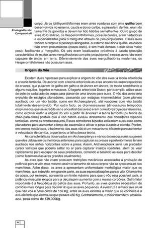 50
ZoologiaGerale
Comparada II
corpo. Já os Ichthyornithiformes eram aves voadoras com uma quilha bem
desenvolvida no esterno, cauda e dorso curtos, e possuíam dentes, eram do
tamanho de gaivotas e devem ter tido hábitos semelhantes. Outro grupo de
aves do Cretáceo, os Hesperornithiformes, possuía dentes, eram nadadoras
e especializadas para o mergulho através de pés-propulsores. Essas aves
tinham o corpo e o pescoço alongados, o esterno não tinha quilha, os ossos
não eram pneumáticos (ossos ocos), e sim mais densos o que dava maior
peso, facilitando o mergulho. Os pés eram localizados próximos à cauda (posição
característica de muitas aves mergulhadoras com pés-propulsores) e essas aves não eram
capazes de andar em terra. Diferentemente das aves mergulhadoras modernas, os
Hesperornithiformes não possuíam asas.
Origem do Vôo
Existem duas hipóteses para explicar a origem do vôo das aves: a teoria arborícola
e a teoria terrícola. De acordo com a teoria arborícola as aves ancestrais eram trepadoras
de arvores, que pulavam de galho em galho e de árvore em árvore, de modo semelhante a
alguns esquilos, lagartos e macacos. O lagarto arborícola Draco, por exemplo, utiliza asas
de pele de cada lado do corpo para planar de uma árvore para outra. O vôo das aves teria
evoluído de estágios planadores, passando por estágios intermediários (com planeio
auxiliado por um vôo batido, como em Archaeopteryx), até voadores com vôo batido
totalmente desenvolvido. Por outro lado, os dromeossauros (dinossauros terópodos
emplumados que se acredita ser o ancestral das aves) eram corredores bípedes terrestres,
como explicar então a origem do vôo a partir de árvores? A teoria terrícola (ou teoria do
chão-para-cima) postula que o vôo batido evoluiu diretamente dos corredores bípedes
terrícolas, como os dromeossauros. Esses corredores bípedes utilizariam suas asas como
planadores para aumentar a força de ascensão e aliviar o peso durante a corrida. Porém,
em termos mecânicos, o batimento das asas não é um mecanismo eficiente para aumentar
a velocidade de corrida, o que levou a falha dessa teoria.
As características observadas em Archaeopteryx e vários dromeossauros sugerem
que eles utilizavam os membros anteriores para capturar as presas e posteriormente teriam
auxiliado nos saltos horizontais sobre a presa. Assim, Archaeopteryx seria um predador
cursor terrícola que poderia saltar no ar para capturar insetos voadores, além de voar
rapidamente para escapar de seus predadores, correndo e batendo as asas para decolar
(como fazem muitas aves grandes atualmente).
As aves que não voam possuem restrições mecânicas associadas à produção de
potência para o vôo, mas mesmo assim o tamanho de seus corpos não se aproxima ao dos
mamíferos. Além disso, as aves a apresentam uniformidade morfológica maior que os
mamíferos, que é devido, em grande parte, as suas especializações para o vôo. O tamanho
do corpo, por exemplo, apresenta um limite máximo para que o vôo seja possível, pois, a
potência muscular exigida para a decolagem aumenta com a massa corpórea. Outro fator
importante é a freqüência da batida das asas. Portanto, as aves grandes necessitam de
corridas mais longas para decolar do que as aves pequenas.Aavestruz é a maior ave atual
que não voa e pesa cerca de 150 Kg, entre as aves extintas a maior que se conhece é a
ave-elefante que estima-se que pesava 450 Kg. Contrariamente, o maior mamífero, a baleia-
azul, pesa acima de 135.000Kg.
 