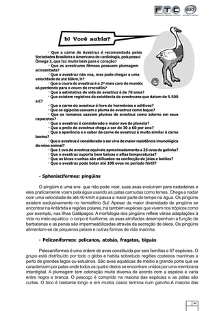 61
- Sphenisciformes: pingüins
O pingüim é uma ave que não pode voar, suas asas evoluíram para nadadeiras e
eles praticamente voam pela água usando as patas carnudas como lemes. Chega a nadar
com uma velocidade de até 40 km/h e passa a maior parte do tempo na água. Os pingüins
existem exclusivamente no hemisfério Sul. Apesar da maior diversidade de pingüins se
encontrar naAntártida e regiões polares, há também espécies que vivem nos trópicos como
,por exemplo, nas Ilhas Galápagos. A morfologia dos pingüins reflete várias adaptações à
vida no meio aquático: o corpo é fusiforme; as asas atrofiadas desempenham a função de
barbatanas e as penas são impermeabilizadas através da secreção de óleos. Os pingüins
alimentam-se de pequenos peixes e outras formas de vida marinha.
- Pelicaniformes: pelicanos, atobás, fragatas, biguás
Pelecaniformes é uma ordem de aves constituída por seis famílias e 67 espécies. O
grupo está distribuído por todo o globo e habita sobretudo regiões costeiras marinhas e
perto de grandes lagos ou estuários. São aves aquáticas de médio a grande porte que se
caracterizam por patas onde todos os quatro dedos se encontram unidos por uma membrana
interdigital. A plumagem tem coloração muito diversa de acordo com a espécie e varia
entre negra e branca. O pescoço é comprido na maioria das espécies e as patas são
curtas. O bico é bastante longo e em muitos casos termina num gancho.A maioria das
· Que a carne de Avestruz é recomendada pelas
Sociedades Brasileira e Americana de cardiologia, pois possui
Ômega 3, que faz muito bem para o coração?
· Que as avestruzes fêmeas possuem plumagem
acinzentada?
· Que o avestruz não voa, mas pode chegar a uma
velocidade de até 60km/h?
· Que o couro do avestruz é o 2º mais caro do mundo;
só perdendo para o couro de crocodilo?
· Que a estimativa de vida do avestruz é de 70 anos?
· Que existem registros da existência de avestruzes que datam de 5.500
a.C?
· Que a carne do avestruz é livre do hormônios e aditivos?
· Que os egípcios usavam a pluma de avestruz como leque?
· Que os romanos usavam plumas de avestruz como adorno em seus
capacetes?
· Que o avestruz é considerado a maior ave do planeta?
· Que a prole do avestruz chega a ser de 30 a 60 por ano?
· Que a aparência e o sabor da carne de avestruz é muito similar à carne
bovina?
· Que o avestruz é considerado o ser vivo de maior resistência imunológica
do reino animal?
· Que 1 ovo de avestruz equivale aproximadamente a 25 ovos de galinha?
· Que o avestruz suporta bem baixas e altas temperaturas?
· Que os bicos e unhas são utilizados na confecção de jóias e botões?
· Que o avestruz pode botar até 100 ovos no período fértil?
b) Você sabia?
 