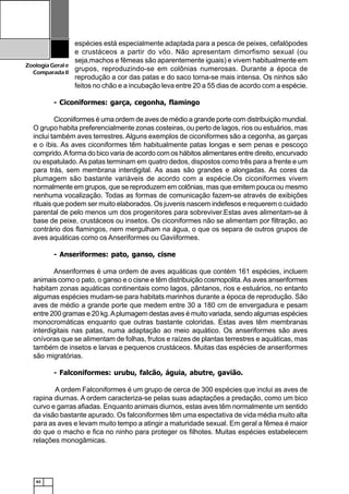 62
ZoologiaGerale
Comparada II
espécies está especialmente adaptada para a pesca de peixes, cefalópodes
e crustáceos a partir do vôo. Não apresentam dimorfismo sexual (ou
seja,machos e fêmeas são aparentemente iguais) e vivem habitualmente em
grupos, reproduzindo-se em colônias numerosas. Durante a época de
reprodução a cor das patas e do saco torna-se mais intensa. Os ninhos são
feitos no chão e a incubação leva entre 20 a 55 dias de acordo com a espécie.
- Ciconiformes: garça, cegonha, flamingo
Ciconiiformes é uma ordem de aves de médio a grande porte com distribuição mundial.
O grupo habita preferencialmente zonas costeiras, ou perto de lagos, rios ou estuários, mas
inclui também aves terrestres. Alguns exemplos de ciconiformes são a cegonha, as garças
e o íbis. As aves ciconiformes têm habitualmente patas longas e sem penas e pescoço
comprido.Aforma do bico varia de acordo com os hábitos alimentares entre direito, encurvado
ou espatulado.As patas terminam em quatro dedos, dispostos como três para a frente e um
para trás, sem membrana interdigital. As asas são grandes e alongadas. As cores da
plumagem são bastante variáveis de acordo com a espécie.Os ciconiformes vivem
normalmente em grupos, que se reproduzem em colônias, mas que emitem pouca ou mesmo
nenhuma vocalização. Todas as formas de comunicação fazem-se através de exibições
rituais que podem ser muito elaborados. Os juvenis nascem indefesos e requerem o cuidado
parental de pelo menos um dos progenitores para sobreviver.Estas aves alimentam-se à
base de peixe, crustáceos ou insetos. Os ciconiformes não se alimentam por filtração, ao
contrário dos flamingos, nem mergulham na água, o que os separa de outros grupos de
aves aquáticas como os Anseriformes ou Gaviiformes.
- Anseriformes: pato, ganso, cisne
Anseriformes é uma ordem de aves aquáticas que contém 161 espécies, incluem
animais como o pato, o ganso e o cisne e têm distribuição cosmopolita.As aves anseriformes
habitam zonas aquáticas continentais como lagos, pântanos, rios e estuários, no entanto
algumas espécies mudam-se para habitats marinhos durante a época de reprodução. São
aves de médio a grande porte que medem entre 30 a 180 cm de envergadura e pesam
entre 200 gramas e 20 kg.Aplumagem destas aves é muito variada, sendo algumas espécies
monocromáticas enquanto que outras bastante coloridas. Estas aves têm membranas
interdigitais nas patas, numa adaptação ao meio aquático. Os anseriformes são aves
onívoras que se alimentam de folhas, frutos e raízes de plantas terrestres e aquáticas, mas
também de insetos e larvas e pequenos crustáceos. Muitas das espécies de anseriformes
são migratórias.
- Falconiformes: urubu, falcão, águia, abutre, gavião.
A ordem Falconiformes é um grupo de cerca de 300 espécies que inclui as aves de
rapina diurnas. A ordem caracteriza-se pelas suas adaptações a predação, como um bico
curvo e garras afiadas. Enquanto animais diurnos, estas aves têm normalmente um sentido
da visão bastante apurado. Os falconiformes têm uma espectativa de vida média muito alta
para as aves e levam muito tempo a atingir a maturidade sexual. Em geral a fêmea é maior
do que o macho e fica no ninho para proteger os filhotes. Muitas espécies estabelecem
relações monogâmicas.
 