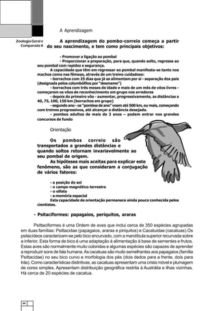 64
ZoologiaGerale
Comparada II
- Psitaciformes: papagaios, periquitos, araras
Psittaciformes é uma Ordem de aves que inclui cerca de 350 espécies agrupadas
em duas famílias: Psittacidae (papagaios, araras e piriquitos) e Cacatuidae (cacatuas).Os
psitacídeos caracterizam-se pelo bico encurvado, com a mandíbula superior recurvada sobre
a inferior. Esta forma de bico é uma adaptação à alimentação à base de sementes e frutos.
Estas aves são normalmente muito coloridas e algumas espécies são capazes de aprender
a reproduzir sons de fala humana.As cacatuas são muito semelhantes aos papagaios (família
Psittacidae) no seu bico curvo e morfologia dos pés (dois dedos para a frente, dois para
trás). Como características distintivas, as cacatuas apresentam uma crista móvel e plumagem
de cores simples. Apresentam distribuição geográfica restrita à Austrália e ilhas vizinhas.
Há cerca de 20 espécies de cacatua.
A Aprendizagem
A aprendizagem do pombo-correio começa a partir
do seu nascimento, e tem como principais objetivos:
- Promover a ligação ao pombal
- Proporcionar a preparação, para que, quando solto, regresse ao
seu pombal com rapidez e segurança.
A capacidade que têm em regressar ao pombal manifesta-se tanto nos
machos como nas fêmeas, através de um treino cuidadoso:
- borrachos com 25 dias que já se alimentam por si - separação dos pais
(designada pelos columbófilos por “desmame”)
- borrachos com três meses de idade e mais de um mês de vôos livres -
começarem os vôos de reconhecimento em grupo nos arredores
- depois do primeiro vôo - aumentar, progressivamente, as distâncias a
40, 75, 100, 150 km (borrachos em grupo)
- segundo ano - os “pombos de ano” voam até 500 km, ou mais, começando
com treinos progressivos, até alcançar a distância desejada.
- pombos adultos de mais de 3 anos – podem entrar nos grandes
concursos de fundo
Orientação
Os pombos correio são
transportados a grandes distâncias e
quando soltos retornam invariavelmente ao
seu pombal de origem.
As hipóteses mais aceitas para explicar este
fenômeno, são as que consideram a conjugação
de vários fatores:
- a posição do sol
- o campo magnético terrestre
- o olfato
- a memória espacial
Esta capacidade de orientação permanece ainda pouco conhecida pelos
cientistas.
 
