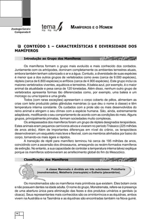 70
ZoologiaGerale
Comparada II
CONTEÚDO 1 – CARACTERÍSTICAS E DIVERSIDADE DOS
MAMÍFEROS
Introdução ao Grupo dos Mamíferos
Os mamíferos formam o grupo mais evoluído e mais conhecido dos cordados.
Juntamente com os artrópodes, dominam completamente os ambientes terrestres atuais,
embora também tenham colonizado o ar e a água. Contudo, a diversidade de suas espécies
é menor que a dos outros grupos de vertebrados como aves (cerca de 9.000 espécies),
répteis (cerca de 6.800 espécies) e anfíbios (cerca de 4.900 espécies). Este grupo inclui os
maiores vertebrados viventes, aquáticos e terrestres. A baleia azul, por exemplo, é o maior
animal da atualidade e pesa cerca de 120 toneladas. Além disso, nenhum outro grupo de
vertebrados apresenta formas tão diferenciadas como, por exemplo, uma baleia e um
morcego ou uma topeira e uma girafa.
Todos (com raras exceções) apresentam o corpo coberto de pêlos, alimentam as
crias com leite produzido pelas glândulas mamárias (o que deu o nome à classe) e têm
temperatura interna constante. Os cuidados com a prole são os mais desenvolvidos do
reino animal e atingem o seu clímax com a espécie humana. São, ainda, extremamente
adaptáveis, modificando o seu comportamento de acordo com as condições do meio.Alguns
grupos, principalmente primatas, formam sociedades muito complexas.
Os antepassados dos mamíferos foram um grupo de répteis designados terapsídeos.
Estes animais eram pequenos carnívoros ativos e viveram no período Triássico (225 milhões
de anos atrás). Além de importantes diferenças em nível do crânio, os terapsídeos
desenvolveram um esqueleto mais leve e flexível, com os membros alinhados por baixo do
corpo, tornando-os mais ágeis e rápidos.
A transição de réptil para mamífero terminou há cerca de 195 milhões de anos,
coincidindo com a ascensão dos dinossauros, ameaçando os recém-formados mamíferos
de extinção. No entanto, a sua capacidade de controlar a temperatura interna talvez explique
porque os mamíferos sobreviveram ao arrefecimento global do fim do Mesozóico.
Classificação dos Mamíferos
Os monotremados são os mamíferos mais primitivos que existem. Eles botam ovos
e não possuem dentes na idade adulta. O nome do grupo, Monotremata, refere-se à presença
de uma abertura única para eliminação das fezes e dos produtos urinários e genitais (a
cloaca). Seus representantes mais conhecidos são os ornintorrincos e as équidnas, ambos
vivem na Austrália e na Tasmânia e as équidnas são encontradas também na Nova guiné.
MAMÍFEROS E O HOMEM
A classe Mammalia é dividida em três subclasses: Prototheria
(monotremados), Metatheria (marsupiais) e Eutheria (placentários).
 