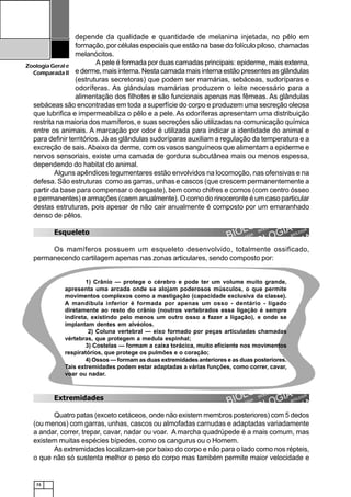 72
ZoologiaGerale
Comparada II
depende da qualidade e quantidade de melanina injetada, no pêlo em
formação, por células especiais que estão na base do folículo piloso, chamadas
melanócitos.
A pele é formada por duas camadas principais: epiderme, mais externa,
e derme, mais interna. Nesta camada mais interna estão presentes as glândulas
(estruturas secretoras) que podem ser mamárias, sebáceas, sudoríparas e
odoríferas. As glândulas mamárias produzem o leite necessário para a
alimentação dos filhotes e são funcionais apenas nas fêmeas. As glândulas
sebáceas são encontradas em toda a superfície do corpo e produzem uma secreção oleosa
que lubrifica e impermeabiliza o pêlo e a pele. As odoríferas apresentam uma distribuição
restrita na maioria dos mamíferos, e suas secreções são utilizadas na comunicação química
entre os animais. A marcação por odor é utilizada para indicar a identidade do animal e
para definir territórios. Já as glândulas sudoríparas auxiliam a regulação da temperatura e a
excreção de sais.Abaixo da derme, com os vasos sanguíneos que alimentam a epiderme e
nervos sensoriais, existe uma camada de gordura subcutânea mais ou menos espessa,
dependendo do habitat do animal.
Alguns apêndices tegumentares estão envolvidos na locomoção, nas ofensivas e na
defesa. São estruturas como as garras, unhas e cascos (que crescem permanentemente a
partir da base para compensar o desgaste), bem como chifres e cornos (com centro ósseo
e permanentes) e armações (caem anualmente). O corno do rinoceronte é um caso particular
destas estruturas, pois apesar de não cair anualmente é composto por um emaranhado
denso de pêlos.
Esqueleto
Os mamíferos possuem um esqueleto desenvolvido, totalmente ossificado,
permanecendo cartilagem apenas nas zonas articulares, sendo composto por:
Extremidades
Quatro patas (exceto cetáceos, onde não existem membros posteriores) com 5 dedos
(ou menos) com garras, unhas, cascos ou almofadas carnudas e adaptadas variadamente
a andar, correr, trepar, cavar, nadar ou voar. A marcha quadrúpede é a mais comum, mas
existem muitas espécies bípedes, como os cangurus ou o Homem.
As extremidades localizam-se por baixo do corpo e não para o lado como nos répteis,
o que não só sustenta melhor o peso do corpo mas também permite maior velocidade e
1) Crânio — protege o cérebro e pode ter um volume muito grande,
apresenta uma arcada onde se alojam poderosos músculos, o que permite
movimentos complexos como a mastigação (capacidade exclusiva da classe).
A mandíbula inferior é formada por apenas um osso - dentário - ligado
diretamente ao resto do crânio (noutros vertebrados essa ligação é sempre
indireta, existindo pelo menos um outro osso a fazer a ligação), e onde se
implantam dentes em alvéolos.
2) Coluna vertebral — eixo formado por peças articuladas chamadas
vértebras, que protegem a medula espinhal;
3) Costelas — formam a caixa torácica, muito eficiente nos movimentos
respiratórios, que protege os pulmões e o coração;
4) Ossos — formam as duas extremidades anteriores e as duas posteriores.
Tais extremidades podem estar adaptadas a várias funções, como correr, cavar,
voar ou nadar.
 