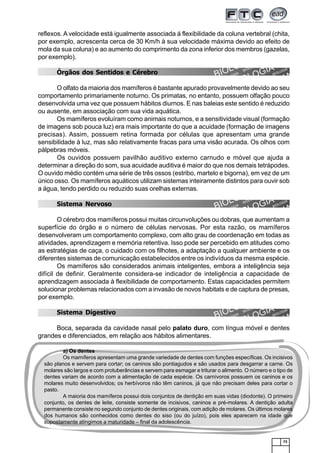 73
reflexos. A velocidade está igualmente associada á flexibilidade da coluna vertebral (chita,
por exemplo, acrescenta cerca de 30 Km/h à sua velocidade máxima devido ao efeito de
mola da sua coluna) e ao aumento do comprimento da zona inferior dos membros (gazelas,
por exemplo).
Órgãos dos Sentidos e Cérebro
O olfato da maioria dos mamíferos é bastante apurado provavelmente devido ao seu
comportamento primariamente noturno. Os primatas, no entanto, possuem olfação pouco
desenvolvida uma vez que possuem hábitos diurnos. E nas baleias este sentido é reduzido
ou ausente, em associação com sua vida aquática.
Os mamíferos evoluíram como animais noturnos, e a sensitividade visual (formação
de imagens sob pouca luz) era mais importante do que a acuidade (formação de imagens
precisas). Assim, possuem retina formada por células que apresentam uma grande
sensibilidade à luz, mas são relativamente fracas para uma visão acurada. Os olhos com
pálpebras móveis.
Os ouvidos possuem pavilhão auditivo externo carnudo e móvel que ajuda a
determinar a direção do som, sua acuidade auditiva é maior do que nos demais tetrápodes.
O ouvido médio contém uma série de três ossos (estribo, martelo e bigorna), em vez de um
único osso. Os mamíferos aquáticos utilizam sistemas inteiramente distintos para ouvir sob
a água, tendo perdido ou reduzido suas orelhas externas.
Sistema Nervoso
O cérebro dos mamíferos possui muitas circunvoluções ou dobras, que aumentam a
superfície do órgão e o número de células nervosas. Por esta razão, os mamíferos
desenvolveram um comportamento complexo, com alto grau de coordenação em todas as
atividades, aprendizagem e memória retentiva. Isso pode ser percebido em atitudes como
as estratégias de caça, o cuidado com os filhotes, a adaptação a qualquer ambiente e os
diferentes sistemas de comunicação estabelecidos entre os indivíduos da mesma espécie.
Os mamíferos são considerados animais inteligentes, embora a inteligência seja
difícil de definir. Geralmente considera-se indicador de inteligência a capacidade de
aprendizagem associada à flexibilidade de comportamento. Estas capacidades permitem
solucionar problemas relacionados com a invasão de novos habitats e de captura de presas,
por exemplo.
Sistema Digestivo
Boca, separada da cavidade nasal pelo palato duro, com língua móvel e dentes
grandes e diferenciados, em relação aos hábitos alimentares.
a) Os dentes
Os mamíferos apresentam uma grande variedade de dentes com funções específicas. Os incisivos
são planos e servem para cortar; os caninos são pontiagudos e são usados para desgarrar a carne. Os
molares são largos e com protuberâncias e servem para esmagar e triturar o alimento. O número e o tipo de
dentes variam de acordo com a alimentação de cada espécie. Os carnívoros possuem os caninos e os
molares muito desenvolvidos; os herbívoros não têm caninos, já que não precisam deles para cortar o
pasto.
A maioria dos mamíferos possui dois conjuntos de dentição em suas vidas (diodonte). O primeiro
conjunto, os dentes de leite, consiste somente de incisivos, caninos e pré-molares. A dentição adulta
permanente consiste no segundo conjunto de dentes originais, com adição de molares. Os últimos molares
dos humanos são conhecidos como dentes do siso (ou do juízo), pois eles aparecem na idade que
supostamente atingimos a maturidade – final da adolescência.
 