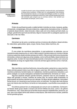 76
ZoologiaGerale
Comparada II
Primata
Ordem da qual fazemos parte, e estão também incluídos os micos, macacos, gorilas,
chimpanzés, orangotangos, lêmures e babuínos, vulgarmente chamados símios. O cérebro
é bastante desenvolvido, visão binocular, mãos e pés com cinco dedos (primeiro dedo, ou
polegar, geralmente oponível aos demais). Alguns macacos têm os polegares apenas nos
seus pés e não nas mãos.
Carnivora
Alimentam-se de carne, os dentes caninos e incisivos são afiados e desenvolvidos.
Ex: cães,lobos, gatos,leões, tigres, onças, hienas, focas, leões-marinhos, etc.
Proboscidea
É uma ordem de mamíferos placentários, à qual pertencem os elefantes, que se
caracteriza pela presença de um nariz e lábio superior transformados em tromba e dentes
incisivos superiores desenvolvidos (presas de marfim). São animais herbívoros de grandes
dimensões, embora em algumas zonas isoladas, como na Ilha de Malta, desenvolveram-se
espécies anãs. A ordem foi mais diversificada durante o Cenozóico e contou com cerca de
170 espécies ao longo do registo fóssil, incluíndo animais agora extintos como o mamute.
Sirenia
São mamíferos marinhos herbívoros, de que faz parte o peixe-boi ou vaca-marinha.
Estes animais passam toda a sua vida na água e, para isso, têm várias adaptações como:
membros anteriores transformados em nadadeiras; membros posteriores reduzidos a um
pelvis vestigial; e a cauda é alargada e achatada horizontalmente, formando um “remo”.
Algumas espécies atingem grande tamanho, pesando mais de uma tonelada. Os
lábios são grandes e móveis, cobertos de cerdas rijas. As narinas estão localizadas na
parte superior do focinho e fecham-se com válvulas. Os olhos não têm pálpebras, mas podem
fechar-se por um mecanismo que funciona como um esfíncter. Os ossos são mais densos
que o da maioria dos mamíferos, tornando-os mais pesados, o que facilita a sua posição na
água.
Os sirênios parecem ter um antepassado em comum com os elefantes. Conhecem-
se fósseis deste grupo desde o Eoceno (há 20-30 milhões de anos) ,como o do gênero
Prorastomus, mas, nessa altura já as famílias atuais estavam estabelecidas; pensa-se, por
isso, que a sua origem tenha sido anterior a essa época. São herbívoros e sociais, podendo
formar grandes grupos.
na pele do animal e usam a língua dobrada, em forma de tubo, para lamberem
o sangue até se saciarem. A saliva tem um anticoagulante muito eficiente.
Nos ecossistemas naturais, os morcegos hematófagos auxiliam no controle
das populações de vertebrados herbívoros. Esse controle populacional ocorre
não somente pela sangria que os animais sofrem, mas também por
transmissão de doenças, como a raiva.
 