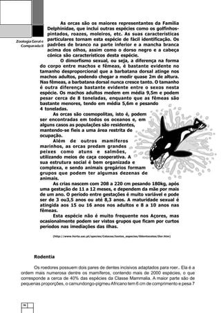 78
ZoologiaGerale
Comparada II
Rodentia
Os roedores possuem dois pares de dentes incisivos adaptados para roer.. Ela é a
ordem mais numerosa dentre os mamíferos, contendo mais de 2000 espécies, o que
corresponde a cerca de 40% das espécies da Classe Mammalia. A maior parte são de
pequenas proporções, o camundongo-pigmeuAfricano tem 6 cm de comprimento e pesa 7
As orcas são os maiores representantes da Família
Delphinidae, que inclui outras espécies como os golfinhos-
pintados, roazes, moleiros, etc. As suas características
particulares tornam esta espécie de fácil identificação. Os
padrões de branco na parte inferior e a mancha branca
acima dos olhos, assim como o dorso negro e a cabeça
cónica são característicos desta espécie.
O dimorfismo sexual, ou seja, a diferença na forma
do corpo entre machos e fêmeas, é bastante evidente no
tamanho desproporcional que a barbatana dorsal atinge nos
machos adultos, podendo chegar a medir quase 2m de altura.
Nas fêmeas, a barbatana dorsal nunca cresce tanto. O tamanho
é outra diferença bastante evidente entre o sexos nesta
espécie. Os machos adultos medem em média 9,5m e podem
pesar cerca de 8 toneladas, enquanto que as fêmeas são
bastante menores, tendo em média 5,6m e pesando
4 toneladas.
As orcas são cosmopolitas, isto é, podem
ser encontradas em todos os oceanos e, em
alguns casos as populações são residentes,
mantendo-se fieis a uma área restrita de
ocupação.
Além de outros mamíferos
marinhos, as orcas predam grandes
peixes como atuns e salmões,
utilizando meios de caça cooperativa. A
sua estrutura social é bem organizada e
complexa, e sendo animais gregários formam
grupos que podem ter algumas dezenas de
animais.
As crias nascem com 208 a 220 cm pesando 180kg, após
uma gestação de 11 a 12 meses, e dependem da mãe por mais
de um ano. O período entre gestações é muito variável e pode
ser de 3 ou3,5 anos ou até 8,3 anos. A maturidade sexual é
atingida aos 15 ou 16 anos nos adultos e 8 a 10 anos nas
fêmeas.
Esta espécie não é muito frequente nos Açores, mas
ocasionalmente podem ser vistos grupos que ficam por curtos
períodos nas imediações das ilhas.
(http://www.horta.uac.pt/species/Cetacea/textos_especies/Odontocetes/Oor.htm)
 