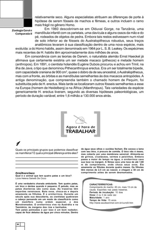 84
ZoologiaGerale
Comparada II
11111
Quais os principais grupos que podemos classificar
os mamíferos? E qual a principal diferença entre eles?
_______________________________________________________________
______________________________________________________________________________________________________________________________
______________________________________________________________________________________________________________________________
_______________________________________________________________
Ornitorrinco
Qual é o animal que tem quatro patas e um bico?
Lúcia Helena Salvetti De Cicco
É uma verdadeira charada ambulante. Tem quatro patas,
um bico e dentes quando é pequeno. É peludo, mas as
patas dianteiras são como asas. As traseiras têm
esporões venenosos. Bota ovos, choca-os e depois
amamenta os filhotes. É o ornitorrinco. Durante um
século após sua descoberta, os cientistas quebraram
a cabeça pensando em um modo de classificá-lo como
um mamífero numa ordem especial, a dos
Monotremados. O ornitorrinco vive na Austrália e na
Tasmâmia, às margens dos rios e banhados.
Tem patas palmadas e por isso é um bom nadador,
capaz de ficar debaixo da água por cinco minutos. Dentro
relativamente seco. Alguns especialistas atribuem as diferenças de porte à
hipótese de serem fósseis de machos e fêmeas, e outros incluem o ramo
mais frágil no gênero Homo.
Em 1960 descobriram-se em Olduvai Gorge, na Tanzânia, uma
mandíbula infantil com os parietais, uma clavícula e alguns ossos da mão e do
pé, rodeados de objetos de pedra. Embora tais restos estivessem num nível
de solo inferior ao de fósseis do Australopithecus robustus, seus traços
anatômicos levaram à sua classificação dentro de uma nova espécie, mais
evoluída: a do Homo habilis, assim denominado em 1964 por L. S. B. Leakey. Os espécimes
mais recentes de H. habilis têm aproximadamente dois milhões de anos.
Em consonância com as teorias de Darwin, o naturalista alemão Ernst Haeckel já
afirmava que certamente existiria um ser metade macaco (pithecos) e metade homem
(anthropos). Em 1891, o cientista holandês Eugène Dubois procurou e achou em Trinil, na
ilha de Java, o tipo que denominou Pithecanthropus erectus. Era um ser totalmente bípede,
com capacidade craniana de 900 cm3
, quase o dobro da de seu ancestral, oAustralopithecus,
mas com a fronte, as órbitas e as mandíbulas semelhantes às dos macacos antropóides. A
antiga denominação, que compreendia também o chamado homem de Pequim, foi
substituída pela de H. erectus. Mais tarde se localizaram outros fósseis semelhantes a esse
na Europa (homem de Heidelberg) e na África (Atlanthropus). Tais variedades da espécie
genericamente H. erectus tiveram, segundo as diversas hipóteses paleontológicas, um
período de duração variável, entre 1,6 milhão a 130.000 anos atrás.
[[[[[ ]]]]]Agora é hora de
TRABALHAR
da água seus olhos e ouvidos fecham. Ele cavoca a lama
com seu bico, à procura de comida. O bico não é ósseo,
mas coberto por uma membrana sensível. Alimenta-se
de girinos, crustáceos, vermes e peixinhos. Embora
passe a maior do tempo na água, o ornitorrinco cava
sua toca na margem. A fêmea cava uma toca de até 1,80
m de comprimento, onde choca seus ovos. Ela
amamenta os filhotes durante quatro meses. Os filhotes
têm menos de 2,5 cm ao nascer, e chegam a 30 cm de
comprimento antes de serem desmamados.
CARACTERÍRSTICAS:
Comprimento do macho: 40 cm, mais 13 cm de
cauda. Esporões nas patas traseiras.
Período de incubação: 10 dias
Ovos: 2 ou 3 de cada vez
Maturidade: 1 ano
Tempo de Vida: 15 anos
http://www.saudeanimal.com.br/curio9.htm
 