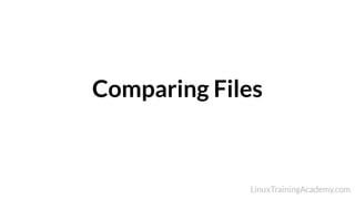 Comparing Files
 