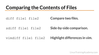 020-Comparing-Files.pdf