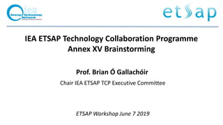 IEA ETSAP Technology Collaboration Programme
Annex XV Brainstorming
Prof. Brian Ó Gallachóir
Chair IEA ETSAP TCP Executive Committee
ETSAP Workshop June 7 2019
 