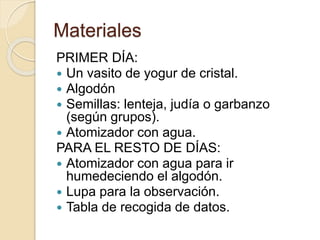 Materiales 
PRIMER DÍA: 
 Un vasito de yogur de cristal. 
 Algodón 
 Semillas: lenteja, judía o garbanzo 
(según grupos). 
 Atomizador con agua. 
PARA EL RESTO DE DÍAS: 
 Atomizador con agua para ir 
humedeciendo el algodón. 
 Lupa para la observación. 
 Tabla de recogida de datos. 
 