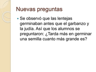 Nuevas preguntas
Se observó que las lentejas
germinaban antes que el garbanzo y
la judía. Así que los alumnos se
preguntaron: ¿Tarda más en germinar
una semilla cuanto más grande es?
