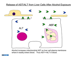 02.01.12(b): Liver Tests - Use and Interpretation | PPT