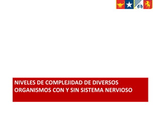 NIVELES DE COMPLEJIDAD DE DIVERSOS
ORGANISMOS CON Y SIN SISTEMA NERVIOSO
 