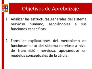 Objetivos de Aprendizaje
1. Analizar las estructuras generales del sistema
nervioso humano, asociándolas a sus
funciones específicas.
2. Formular explicaciones del mecanismo de
funcionamiento del sistema nervioso a nivel
de transmisión nerviosa, apoyándose en
modelos conceptuales de la célula.
 