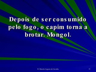 Depois de ser consumido pelo fogo, o capim torna a brotar. Mongol. 