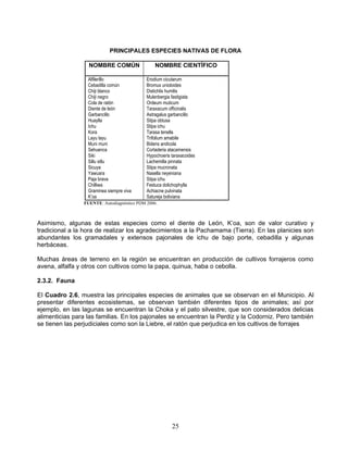 PRINCIPALES ESPECIES NATIVAS DE FLORA

                  NOMBRE COMÚN                  NOMBRE CIENTÍFICO

                  Alfilerillo               Erodium cicutarum
                  Cebadilla común           Bromus unioloides
                  Chiji blanco              Distichlis humilis
                  Chiji negro               Mulenbergia fastigiata
                  Cola de ratón             Ordeum muticum
                  Diente de león            Taraxacum officinalis
                  Garbancillo               Astragalus garbancillo
                  Huaylla                   Stipa obtusa
                  Ichu                      Stipa ichu
                  Kora                      Tarasa tenella
                  Layu layu                 Trifolium amabile
                  Muni muni                 Bidens andicola
                  Sehuenca                  Cortaderia atacamensis
                  Siki                      Hypochoeris taraxacoides
                  Sillu sillu               Lachemilla pinnata
                  Sicuya                    Stipa mucronata
                  Yawuara                   Nasella neyeniana
                  Paja brava                Stipa ichu
                  Chilliwa                  Festuca dolichophylla
                  Graminea siempre viva     Achiacne pulvinata
                  K’oa                      Satureja boliviana
                FUENTE: Autodiagnóstico PDM 2006.



Asimismo, algunas de estas especies como el diente de León, K‟oa, son de valor curativo y
tradicional a la hora de realizar los agradecimientos a la Pachamama (Tierra). En las planicies son
abundantes los gramadales y extensos pajonales de ichu de bajo porte, cebadilla y algunas
herbáceas.

Muchas áreas de terreno en la región se encuentran en producción de cultivos forrajeros como
avena, alfalfa y otros con cultivos como la papa, quinua, haba o cebolla.

2.3.2. Fauna

El Cuadro 2.6, muestra las principales especies de animales que se observan en el Municipio. Al
presentar diferentes ecosistemas, se observan también diferentes tipos de animales; así por
ejemplo, en las lagunas se encuentran la Choka y el pato silvestre, que son considerados delicias
alimenticias para las familias. En los pajonales se encuentran la Perdiz y la Codorniz. Pero también
se tienen las perjudiciales como son la Liebre, el ratón que perjudica en los cultivos de forrajes




                                                        25
 