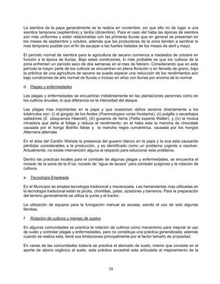 La siembra de la papa generalmente se la realiza en noviembre, sin que ello no de lugar a una
siembra temprana (septiembre) y tardía (diciembre). Para el caso del haba las épocas de siembra
son más uniformes y están relacionadas con las primeras lluvias que en general se presentan en
los meses de septiembre y octubre, además que los productores de la zona tienden a sembrar lo
mas temprano posible con el fin de escapar a las fuertes heladas de los meses de abril y mayo.

El período normal de siembra para la agricultura de secano comienza a mediados de octubre en
función a la época de lluvias. Bajo estas condiciones, lo más probable es que los cultivos de la
zona enfrenten un período seco de dos semanas en el mes de febrero. Considerando que en este
período la mayor parte de los cultivos se encuentran en plena floración o en llenado de grano, bajo
la práctica de una agricultura de secano se puede esperar una reducción de los rendimientos aún
bajo condiciones de año normal de lluvias o incluso en años con lluvias por encima de lo normal.

d. Plagas y enfermedades

Las plagas y enfermedades se encuentran indistintamente en las plantaciones perennes como en
los cultivos anuales, lo que diferencia es la intensidad del ataque.

Las plagas mas importantes en la papa y que ocasionan daños severos directamente a los
tubérculos son: (i) el gorgojo de los Andes (Premnotrypes vorax Hustache), (ii) pulgilla o escarbajos
saltadores (E. ubaquensis Haarold), (iii) gusanos de tierra (Feltia experta Walter), y (iv) la mosca
minadora que daña al follaje y reduce el rendimiento; en el haba esta la mancha de chocolate
causada por el hongo Botritis fabae y la mancha negra concéntrica, causada por los hongos
Alternaria alternata

En el área del Cantón Warista la presencia del gusano blanco en la papa y la oca esta causando
pérdidas considerables a la producción, y es identificado como un problema urgente a resolver.
Actualmente, no existe intervención alguna al respecto para solucionar este problema.

Dentro las practicas locales para el combate de algunas plagas y enfermedades, se encuentra el
rociado de la savia de la K‟oa, rociado de “agua de lavaza” para combatir pulgones y la rotación de
cultivos.

e. Tecnología Empleada

En el Municipio se emplea tecnología tradicional y mecanizada. Las herramientas mas utilizadas en
la tecnología tradicional están la picota, chontillas, palas, azadones y barrenos. Para la preparación
del terreno generalmente se utiliza la yunta y el tractor.

La utilización de equipos para la fumigación manual es escasa, siendo el uso de solo algunas
familias.

f.   Rotación de cultivos y manejo de suelos

En algunas comunidades se practica la rotación de cultivos como mecanismo para mejorar el uso
de suelo y controlar plagas y enfermedades, pero no constituye una práctica generalizada; además
cuando se realiza esta, tiene sus limitaciones principalmente por el factor tamaño de propiedad.

En varias de las comunidades todavía se practica el abonado de suelo, mismo que consiste en el
aporte de abono orgánico al suelo, esta práctica ancestral esta articulada al mejoramiento de la



                                                 58
 