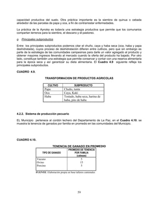 capacidad productiva del suelo. Otra práctica importante es la siembra de quinua o cebada
alrededor de las parcelas de papa y oca, a fin de contrarrestar enfermedades.

La práctica de la Aynoka es todavía una estrategia productiva que permite que los comunarios
compartan terrenos para la siembra, el descano y el pastoreo.

g. Principales subproductos

Entre los principales subproductos podemos citar el chuño, caya y haba seca (oca, haba y papa
deshidratada), cuyos proceso de deshidratación difieren entre cultivos, pero que sin embargo es
parte de la estrategia de las comunidades campesinas para darle un valor agregado al producto y
obtener mayores ingresos llevando al mercado cuando la oferta del producto ha bajado. Por otro
lado, constituye también una estrategia que permite conservar y contar con una reserva alimentaria
para la época seca y así garantizar su dieta alimentaria. El Cuadro 4.9 siguiente refleja los
principales subproductos.

CUADRO 4.9.

                      TRANSFORMACION DE PRODUCTOS AGRICOLAS

                         CULTIVO                 SUBPRODUCTO
                     Papa              Chuño, tunta
                     Oca               Caya, Kaki
                     Haba              Tostado, haba seca, harina de
                                       haba, pito de haba



4.2.2. Sistema de producción pecuario

EL Municipio pertenece al cordón lechero del Departamento de La Paz, en el Cuadro 4.10. se
muestra la tenencia de ganados por familia en promedio en las comunidades del Municipio.




CUADRO 4.10.

                             TENENCIA DE GANADO EN PROMEDIO
                                           PROMEDIO DE TENENCIA
                    TIPO DE GANADO             POR FAMILIA
                                                (cabezas)
               Vacuno                                 5
               Ovino                                  15
               Porcino                                5

              FUENTE: Elaboración propia en base talleres cantonales




                                                    59
 