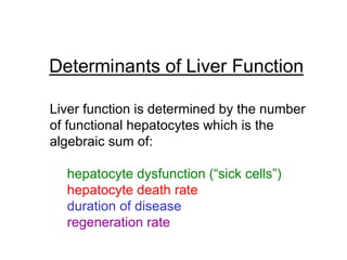 Determinants of Liver Function

Liver function is determined by the number
of functional hepatocytes which is the
algebraic sum of:

  hepatocyte dysfunction (“sick cells”)
  hepatocyte death rate
  duration of disease
  regeneration rate
 