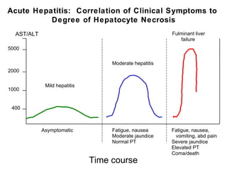 Acute Hepatitis: Correlation of Clinical Symptoms to
          Degree of Hepatocyte Necrosis
  AST/ALT                                               Fulminant liver
                                                           failure
5000

                                   Moderate hepatitis
2000

             Mild hepatitis
1000


 400



            Asymptomatic           Fatigue, nausea      Fatigue, nausea,
                                   Moderate jaundice      vomiting, abd pain
                                   Normal PT            Severe jaundice
                                                        Elevated PT
                                                        Coma/death
                              Time course
 