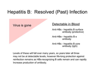 Hepatitis B: Resolved (Past) Infection

  Virus is gone                       Detectable in Blood
                                      Anti-HBs - hepatitis B surface
                                               antibody (protective)

                                      Anti-HBe - hepatitis B e
                                               antibody

                                      Anti-HBc - hepatitis B core
                                               antibody (IgG)


  Levels of these will fall over many years, so years later all three
  may not be at detectable levels, however life-long protection against
  reinfection remains as HBs-recognizing B cells remain and can rapidly
  Increase production of antibody.
 