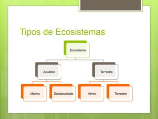 Tipos de Ecosistemas 
Ecosistema 
Acuático 
Marino Dulceacuícola 
Terrestre 
Aéreo Terrestre 
 