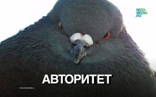 Истинная сущность лидерства