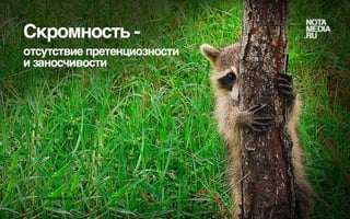 Истинная сущность лидерства