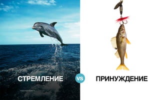 Истинная сущность лидерства