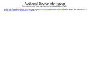 Additional Source Information
                              for more information see: http://open.umich.edu/wiki/CitationPolicy

Slide 32 & 34: Adapted from Gordon Flynn, Wikimedia Commons, http://commons.wikimedia.org/wiki/File:Digestive_system_with_liver.png, CC:BY-
SA, http://creativecommons.org/licenses/by-sa/2.5/deed.en
 