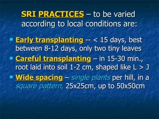 SRI  PRACTICES  – to be varied  according to local conditions are: <ul><li>Early transplanting  -- < 15 days, best between...