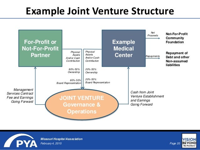 joint venture examples