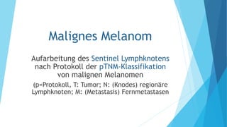Malignes Melanom
Aufarbeitung des Sentinel Lymphknotens
nach Protokoll der pTNM-Klassifikation
von malignen Melanomen
(p=Protokoll, T: Tumor; N: (Knodes) regionäre
Lymphknoten; M: (Metastasis) Fernmetastasen
 