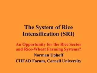 The System of Rice Intensification (SRI) An Opportunity for the Rice Sector and Rice-Wheat Farming Systems? Norman Uphoff CIIFAD Forum, Cornell University 