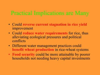 Practical Implications are Many <ul><li>Could  reverse current stagnation in rice yield   improvement </li></ul><ul><li>Co...