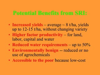 Potential Benefits from SRI: <ul><li>Increased yields  – average  ~ 8 t/ha, yields up to 12-15 t/ha, without changing vari...