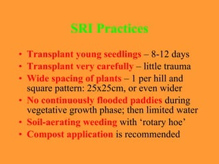 SRI Practices <ul><li>Transplant young seedlings  – 8-12 days </li></ul><ul><li>Transplant very carefully  – little trauma...