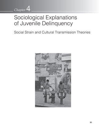 9191
Chapter 4
Sociological Explanations
of Juvenile Delinquency
Social Strain and Cultural Transmission Theories
 