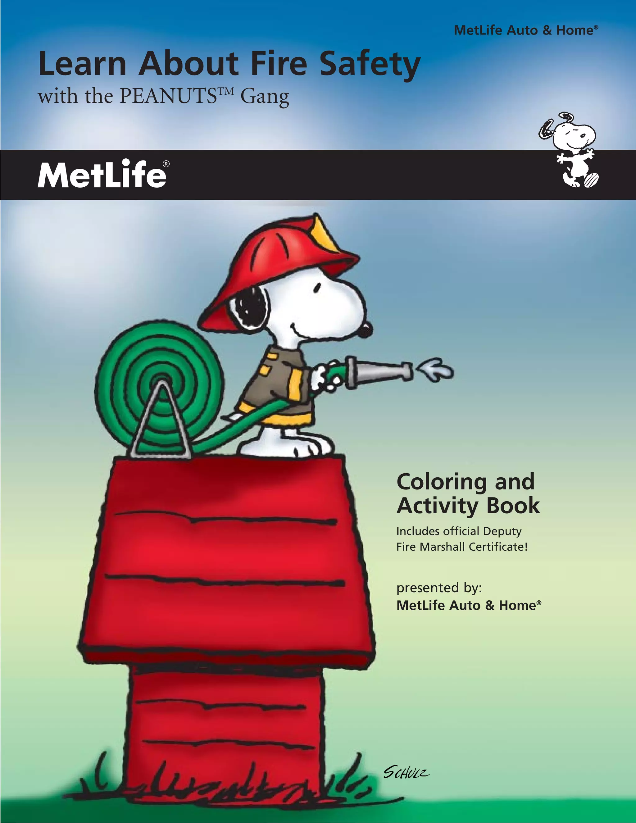 Fair2 Safety.pdf 0205 fire safety pdf | PDF