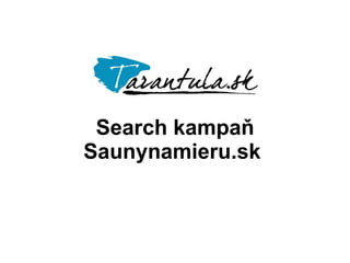 Search kampaň Saunynamieru.sk 