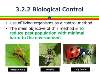 3.2.2 Biological Control
• Use of living organisms as a control method
• The main objective of this method is to
reduce pest population with minimal
harm to the environment
10
Parasitic wasp Hoverfly Lady beetle
 